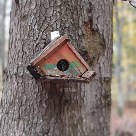 アパート Garden Aspen A008 *