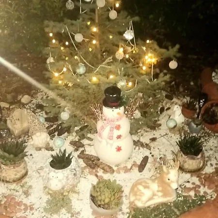 Garden Aspen A008 Appartamento