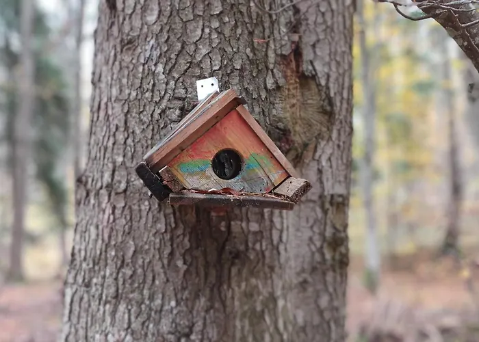 Апартаменты Garden Aspen A008 *