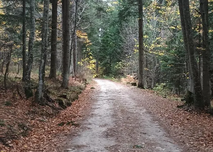 Апартаменты Garden Aspen A008