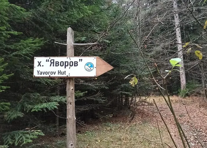 Garden Aspen A008 Апартаменты Банско